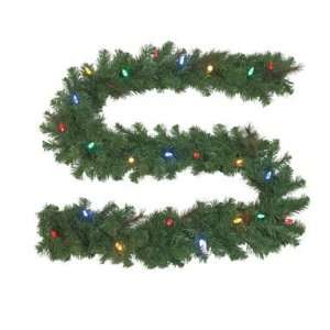  CELEBRATIONS JACKSON GARLAND LED MULTI COLOR 9