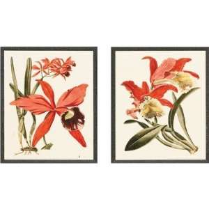  Orchid III and IV Print Set   10 x 12