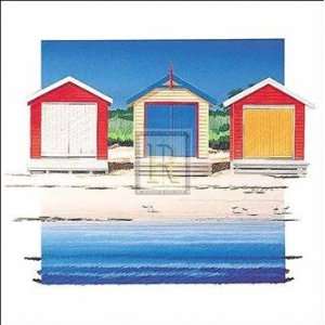   Shed Colour   Poster by Bernie Bernie Walsh (20 x 20)