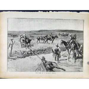  Boer War By Richard Danes End Of A Cavalry Horse
