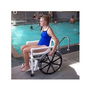 Pool Access Chair