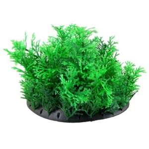  Como Fish Tank Green Leaves Plastic Plant Grass Decor w 