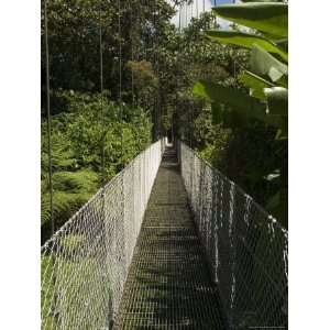 Hanging Bridges a Walk Through the Rainforest, Arenal, Costa Rica 