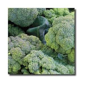  Broccoli Limited Edition Print