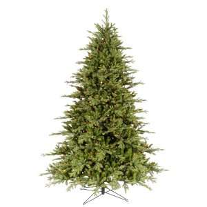  9 X 69 Cason Fraiser Fir Dura Lit 1200 Multi color 
