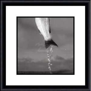  Flying Fish by Sanderson   Framed Artwork
