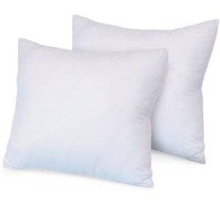  Decorative Pillows, Inserts & Covers Pillows, Pillow Covers, Pillow