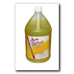  Chamois and Windshield Squeegee Cleaner Concentrate 