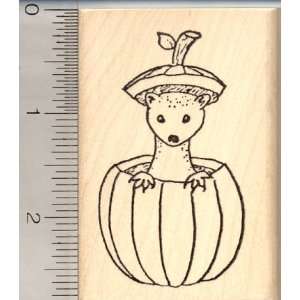  Medium Ferret in Pumpkin Rubber Stamp Arts, Crafts 