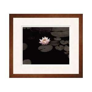  Meandering Lily Ii Framed Giclee Print