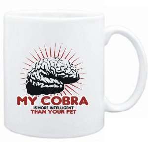   Cobra is more intelligent than your pet  Animals