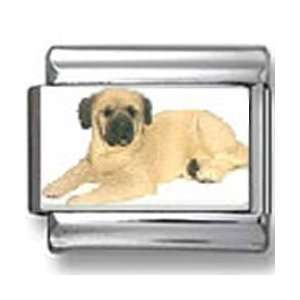  Mastiff Dog Photo Italian Charm Jewelry