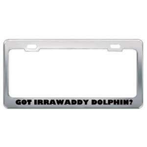 Got Irrawaddy Dolphin? Animals Pets Metal License Plate Frame Holder 