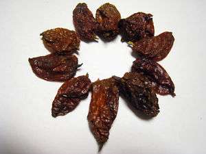 10) SMOKED Bhut Jolokia Ghost Chili Pepper Seed Pods  