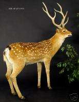 lifesize animal taxidermy deer replica  