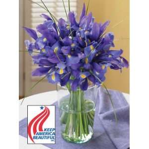 Keep America Beautiful Blue Iris  Grocery & Gourmet Food