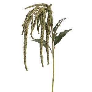  Faux 44 Amaranthus Spray Green (Pack of 24) Patio, Lawn 