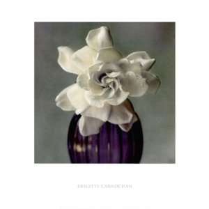  Gardenia in Purple Vase by Brigitte Carnochan 16x18