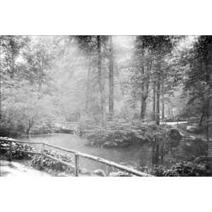   By Buyenlarge The Central Park Ramble 20x30 poster