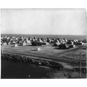  Tent City,Coronado Beach,California,CA,c1905,Panoramic 
