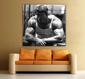 Giant Arnold Swarchenegger Poster   Huge Bodybuilding  