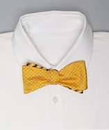 Countess Mara reversible yellow dot stripe silk bow tie style 