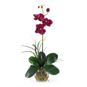    WI Mini Phalaenopsis Silk Orchid Arrangement in Wine