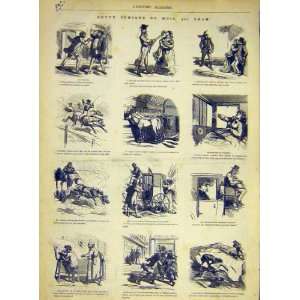  Comedy Comic Sketches Mois Cham Animals Print 1868
