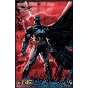   DC Comics Poster (Lightning & Rain) (Size 24 x 36)
