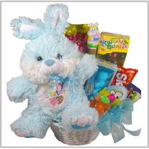  Easter Bunny Sweets and Treats Gift Basket   A Easter Gift 