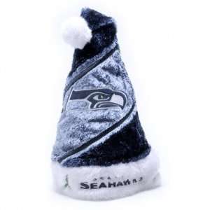    Seattle Seahawks HIMO Colorblock Santa Hat