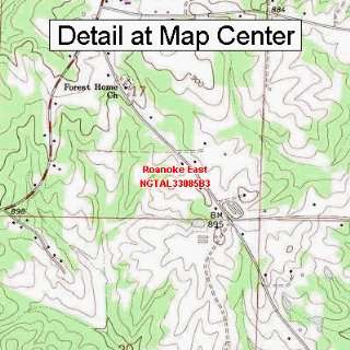  USGS Topographic Quadrangle Map   Roanoke East, Alabama 