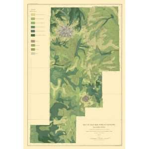 MOUNT RAINIER FOREST RESERVE WASHINGTON (WA) 1899 MAP 
