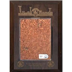  Boston Red Sox Fenway Park Game Used Dirt Mini Plaque (MLB 
