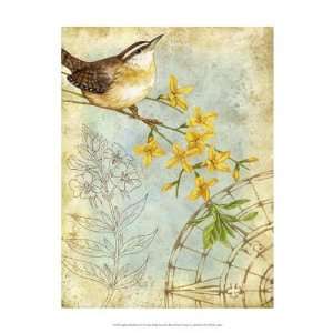  Jane Maday   Songbird Sketchbook I