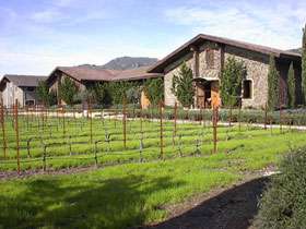Clos Du Val Wine Co. Winery 