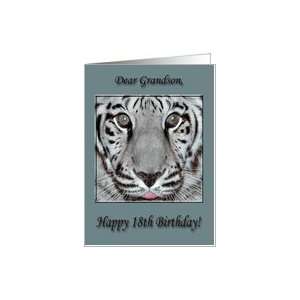   Greetings,18th Birthday for Grandson, White Tiger Card Toys & Games