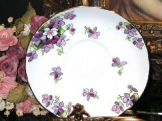   Staffordshire PURPLE VIOLETS Hand Painted Tea Cup and Saucer Fab