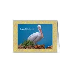  Son Birthday Card with Pelican Card Toys & Games