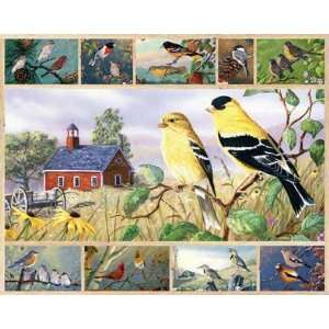  New White Mountain Puzzles Songbirds 1000 Pc Puzzle High 