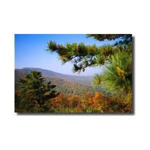  Blue Ridge Mountain Ridges Virginia Giclee Print