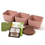 Simple Garden Dusty Rose Junior Herb Kit with 4 Pots  