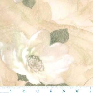  54 Wide Stretch Mesh Rose Cream Fabric By The Yard Arts 