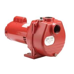   Red Lion RLSP 100 1 HP Self Priming Sprinkler Pump