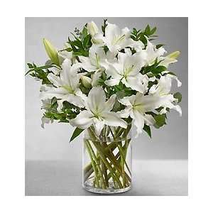  Flowers by 1800Flowers   White Lily for Sympathy