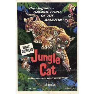 Jungle Cat Movie Poster (11 x 17 Inches   28cm x 44cm) (1960) Style A 