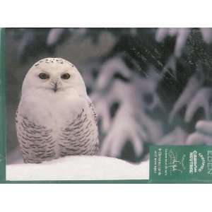  ECO FRIENDLY NATURE CARDS  16 CARDS