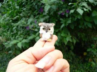 This little owl is handmade with rabbits fur over a hard form and 