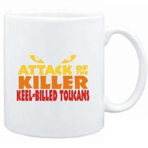   Attack of the killer Keel Billed Toucans  Animals
