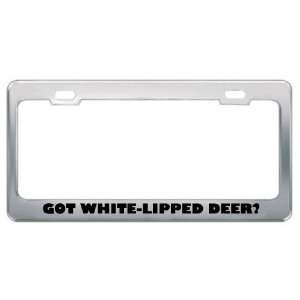 Got White Lipped Deer? Animals Pets Metal License Plate Frame Holder 